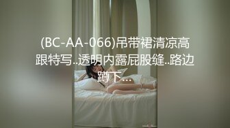 (BC-AA-066)吊带裙清凉高跟特写..透明内露屁股缝..路边蹲下…