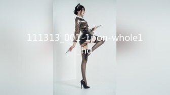 111313_001-1pon-whole1_hd