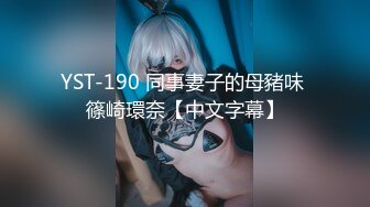 YST-190 同事妻子的母豬味 篠崎環奈【中文字幕】